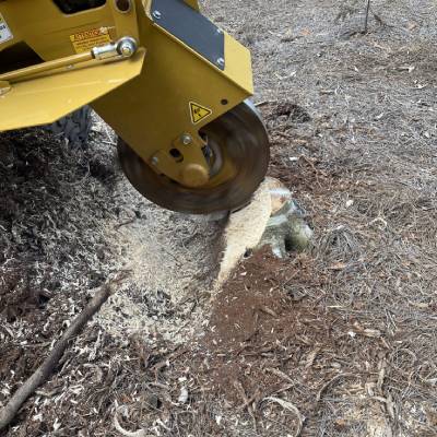 RESIDENTIAL STUMP GRINDING
