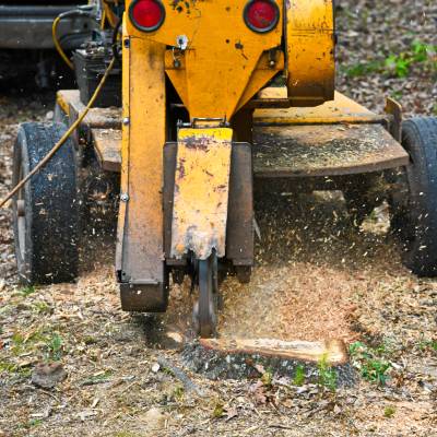 COMMERCIAL STUMP GRINDING